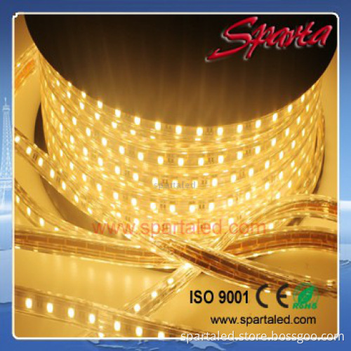 easy to control RGB flex led strip 220v smd5050 with mini-controller
